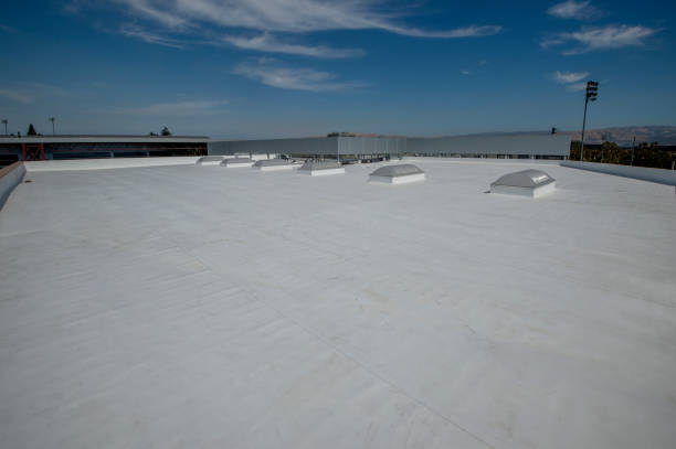 Best Roof Maintenance and Cleaning  in Bellevue, PA